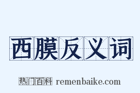 西膜反义词是什么意思的图片